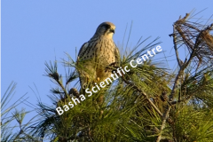 461928973_8490531337681443_2201947206843502227_n