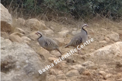 461929130_8490530981014812_916652110053054938_n