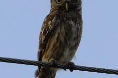 461930526_8488498047884772_7750140955895940881_n