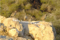 461942873_8490531314348112_7480785625434415698_n