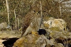 461946231_8488451234556120_7363307019088783880_n