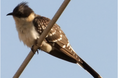 461947002_8497589846975592_4777244749375944061_n