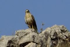 461948077_8485766218157955_6135456791839184646_n