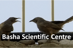 461949549_8491084490959461_5324486603237050916_n