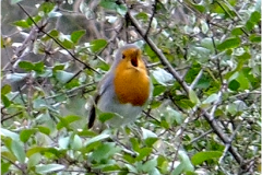 461950143_8499034626831114_4820661015354278681_n