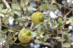 461965059_8490531327681444_6501155208409677199_n