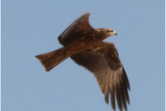 461976318_8497616863639557_6185085178666037990_n