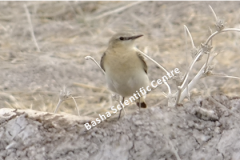 461979756_8490531317681445_2323634443659877527_n