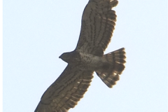 461983368_8492863884114855_328695040511848075_n