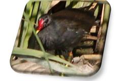 461986300_8488451261222784_6212696505937485775_n