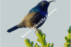 461986893_8490531654348078_7324345466289813657_n