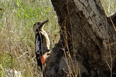 461988692_8496048760463034_3855690480724187614_n