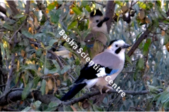 461997618_8490531331014777_835208386772994697_n