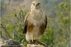 461998664_8499034630164447_5215742367331708426_n