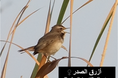 462006181_8492864124114831_2489817449694888527_n