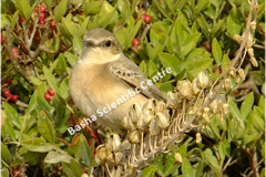 462032413_8490530971014813_5580715556379029107_n