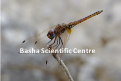 462037171_8490531634348080_4530528838146116664_n