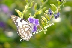 462039242_8491084500959460_3303293666203801902_n