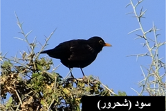 462039957_8492863877448189_8412851785386413436_n