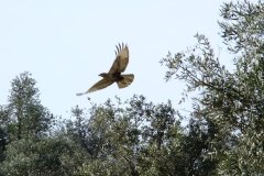 462043866_8496048420463068_3307731381860035771_n