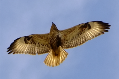 462044525_8499034643497779_4367057643395597419_n