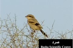 462048894_8492864127448164_5567952620518240387_n