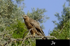 462066513_8492864140781496_6005530841628190685_n