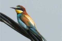 462079459_8488451244556119_8077605100663138569_n