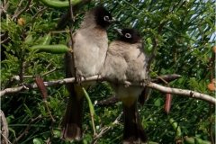 462085058_8497617536972823_3754308513971904310_n