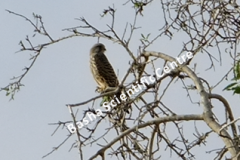 462089419_8490530964348147_2028899472321725296_n