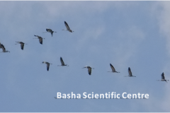 462108145_8490531631014747_2507451896997600280_n