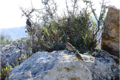 462119833_8502340813167162_3055532109494637333_n