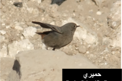 462123034_8492864134114830_4681896224830088619_n