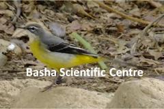 462127204_8491084477626129_8150343946911103617_n