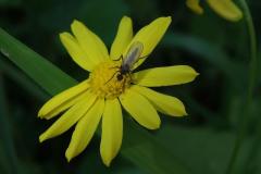 462130741_8503561996378377_8196175684438212013_n