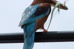 462132225_8497620053639238_7542417748458790056_n