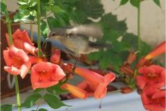 462135783_8498160936918483_431580875678506320_n