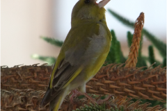 462137658_8497589843642259_3400423436835432653_n