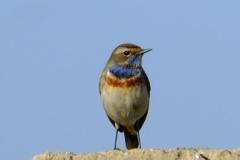 462138043_8488451237889453_4005581262444653013_n