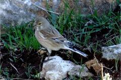 462139861_8502340823167161_513623458197914755_n-1