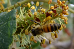 462141764_8496072833793960_5196671556932687741_n