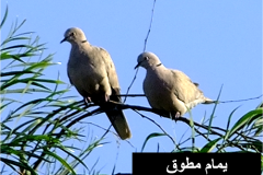 462182560_8492863894114854_505503288076386150_n