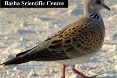 462189772_8492862517448325_3199272147618917361_n