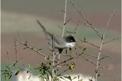 462190450_8499034623497781_6331998423070705226_n