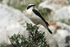 462192646_8498160926918484_7371633942490708652_n