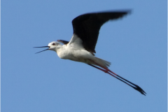 462193488_8497183470349563_2103259749971996744_n