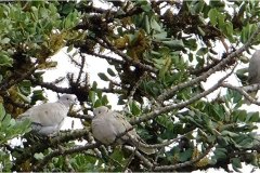 462193729_8498120603589183_8334399868526700333_n