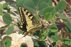 462204441_8498160943585149_8719620999755614204_n