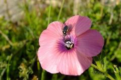 462214462_8530328667035043_6230786989331369760_n