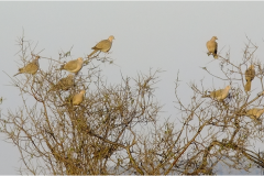 462221352_8515006305233946_2324920316602297973_n